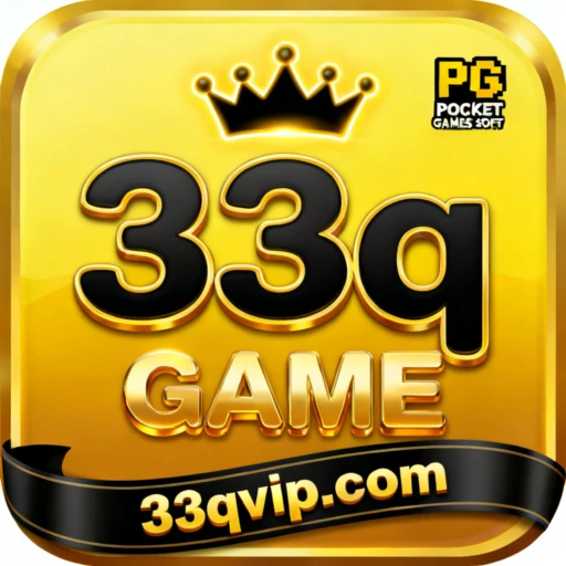 33q Logo